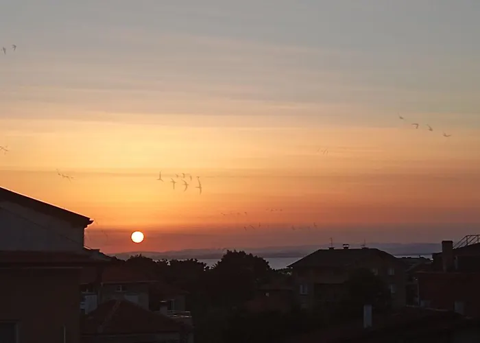 екопойнт Chernomorets